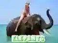 Oyunu Fil Bulmacası çevrimiçi Oyunu Fil Bulmacası çevrimiçi