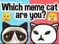 Oyunu Hangi Meme Kedisisin? çevrimiçi Oyunu Hangi Meme Kedisisin? çevrimiçi