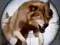 Oyunu Yerli Hayvan Avı çevrimiçi Oyunu Yerli Hayvan Avı çevrimiçi