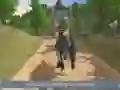 Oyunu Jungle Dino Kamyon Taşıyıcı 2020 çevrimiçi