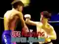 Oyunu UFC Dövüş Maçı Bulmacası çevrimiçi