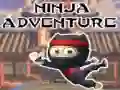 Oyunu Ninja Macerası çevrimiçi