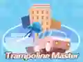Oyunu Trampolin Ustası çevrimiçi