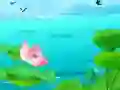 Oyunu Lotus Çiçekleri Kaydırma çevrimiçi Oyunu Lotus Çiçekleri Kaydırma çevrimiçi