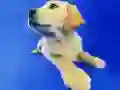 Oyunu Komik Kediler ve Köpekler Bulmacası çevrimiçi Oyunu Komik Kediler ve Köpekler Bulmacası çevrimiçi