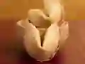 Oyunu Şans Kurabiyeleri çevrimiçi Oyunu Şans Kurabiyeleri çevrimiçi