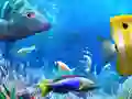 Oyunu Balık Tutalım çevrimiçi Oyunu Balık Tutalım çevrimiçi