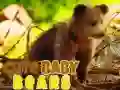Oyunu Şirin Yavru Ayılar çevrimiçi Oyunu Şirin Yavru Ayılar çevrimiçi