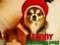 Oyunu Komik Noel Köpekleri çevrimiçi