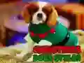 Oyunu Noel Köpek Tarzları çevrimiçi Oyunu Noel Köpek Tarzları çevrimiçi