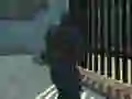 Oyunu Zombi Savunma Takımı çevrimiçi Oyunu Zombi Savunma Takımı çevrimiçi