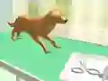 Oyunu Pat bakım çevrimiçi