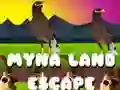 Oyunu Myna Ülkesi Kaçışı çevrimiçi Oyunu Myna Ülkesi Kaçışı çevrimiçi