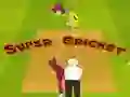 Oyunu Süper Kriket çevrimiçi Oyunu Süper Kriket çevrimiçi