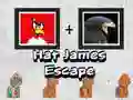 Oyunu Şapka James Kaçışı çevrimiçi Oyunu Şapka James Kaçışı çevrimiçi