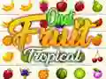 Oyunu Onet Tropikal Meyveler çevrimiçi Oyunu Onet Tropikal Meyveler çevrimiçi