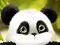 Oyunu Panda Kaydı çevrimiçi Oyunu Panda Kaydı çevrimiçi