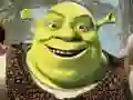 Oyunu Shrek Yapboz Koleksiyonu çevrimiçi