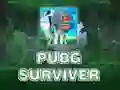 Oyunu PUBG Hayatta Kalacak çevrimiçi