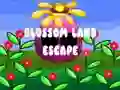 Oyunu Çiçek Ülkesi Kaçışı çevrimiçi