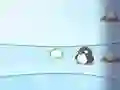 Oyunu Karla Adamları vs Penguin çevrimiçi