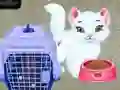 Oyunu Baby Taylor Hayvan Bakımı çevrimiçi Oyunu Baby Taylor Hayvan Bakımı çevrimiçi