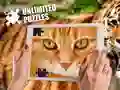 Oyunu Sınırsız Bulmacalar çevrimiçi Oyunu Sınırsız Bulmacalar çevrimiçi
