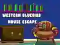 Oyunu Batı Mavi Kuş Evi Kaçışı çevrimiçi