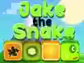 Oyunu Jake Yılan çevrimiçi Oyunu Jake Yılan çevrimiçi