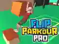 Oyunu Flip Parkour Pro çevrimiçi Oyunu Flip Parkour Pro çevrimiçi