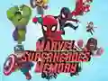 Oyunu Marvel Süper Kahramanlar Hafızası çevrimiçi Oyunu Marvel Süper Kahramanlar Hafızası çevrimiçi