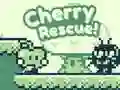 Oyunu Kiraz Kurtarma çevrimiçi