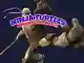 Oyunu Ninja Kaplumbağaları Bellek Kartı Eşleştirme çevrimiçi