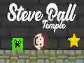 Oyunu Steve Ball Tapınağı çevrimiçi Oyunu Steve Ball Tapınağı çevrimiçi