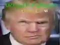 Oyunu Trump Komik Yüz çevrimiçi Oyunu Trump Komik Yüz çevrimiçi