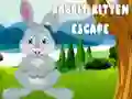 Oyunu Tavşan ile Yavru Kedi Kaçışı çevrimiçi Oyunu Tavşan ile Yavru Kedi Kaçışı çevrimiçi