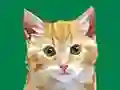 Oyunu Tembel Ressam çevrimiçi