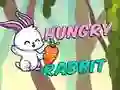 Oyunu Aç Kedi çevrimiçi Oyunu Aç Kedi çevrimiçi