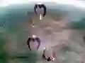 Oyunu Scape Shotter çevrimiçi