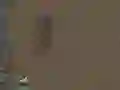 Oyunu Hayatta Kalma çevrimiçi Oyunu Hayatta Kalma çevrimiçi