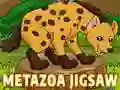 Oyunu Metazoa Yapboz çevrimiçi Oyunu Metazoa Yapboz çevrimiçi