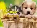 Oyunu Yavru Köpek Boyama çevrimiçi Oyunu Yavru Köpek Boyama çevrimiçi