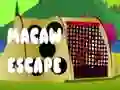 Oyunu Papağan Kaçışı çevrimiçi
