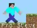 Oyunu Pro Steve çevrimiçi