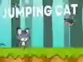 Oyunu Zıplayan Kedi çevrimiçi Oyunu Zıplayan Kedi çevrimiçi
