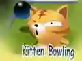 Oyunu Yavru Kediler Bowling çevrimiçi