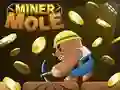 Oyunu Madenci Tüylü çevrimiçi Oyunu Madenci Tüylü çevrimiçi