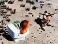Oyunu Üstten Görünüm Skibidi Tuvalet Ateşi çevrimiçi Oyunu Üstten Görünüm Skibidi Tuvalet Ateşi çevrimiçi