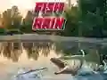 Oyunu Balık Yağmuru çevrimiçi