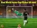 Oyunu Gerçek Dünya Futbol Kupası Flicker 3D 2023 çevrimiçi